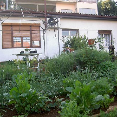 Apartman Thea Apartment Opatija Exterior photo