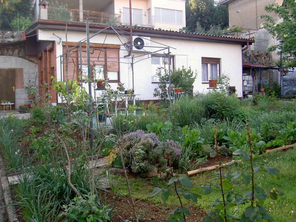 Apartman Thea Apartment Opatija Exterior photo